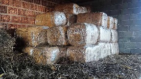 Šteta za budžet 27 miliona